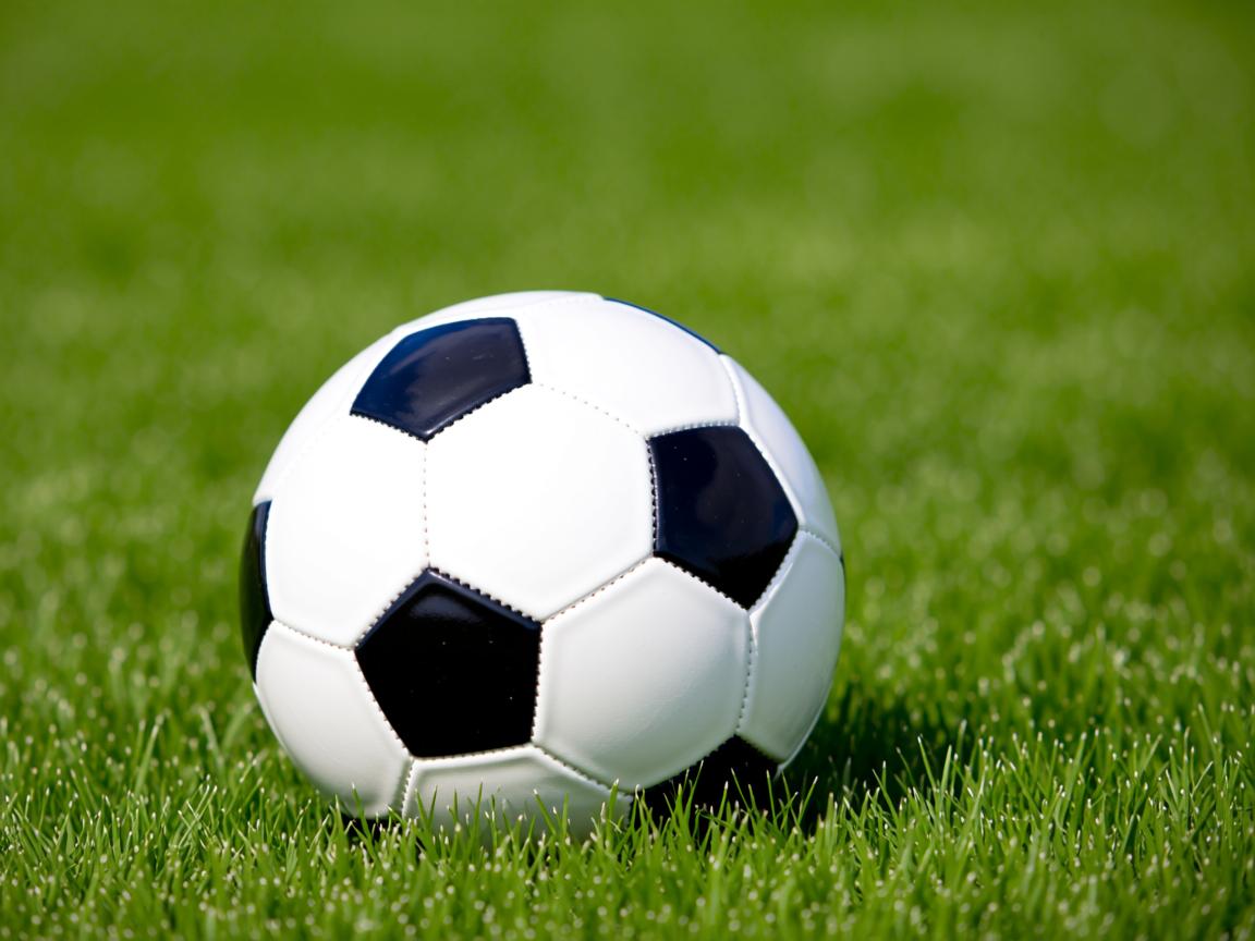 开云体育app注册-挪威游泳选手神乎其技，夺得银牌  第3张