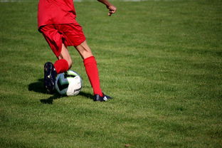 开运体育电脑版-国家队战术体系缺乏灵活应变能力，国家队战术体系缺乏灵活应变能力的原因  第2张